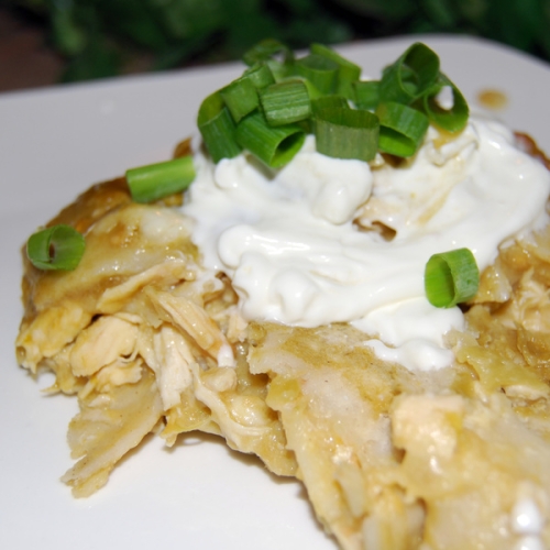 Low Fat Chicken Enchiladas