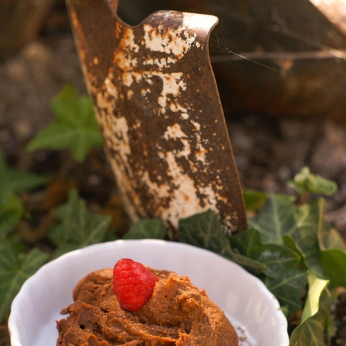 Paleo Sweet Potato Mousse