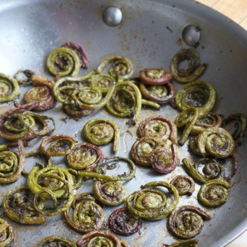 Paleo Duck Fat Fiddlehead Ferns (Autoimmune Friendly)