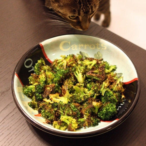 Burnt Broccoli (AIP, Low-FODMAP, Paleo, Vegan)