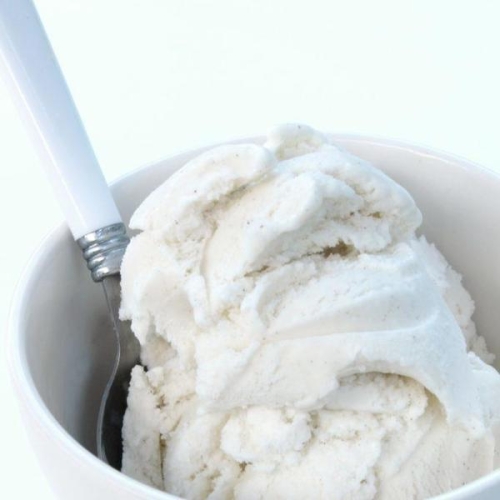 Vanilla Bean Ice Cream – Paleo & AIP