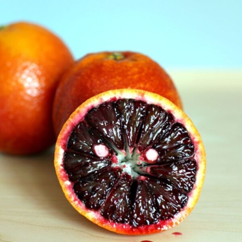 Arugula salad with fennel, blood oranges, clementines and olive vinaigrette