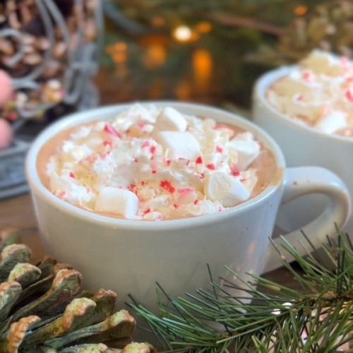 Paleo or Keto Hot Cocoa Mix