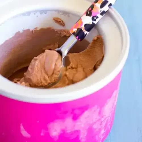 Easy Paleo Chocolate Ice Cream