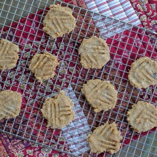 3 Ingredient Cookies (Paleo, Egg Free)