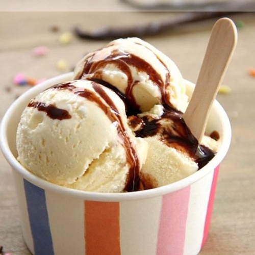 Low-Fat Vanilla Bean Ice Cream