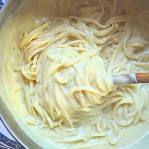Zucchini Alfredo Sauce