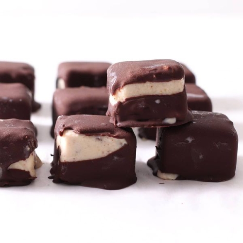 Protein Frozen Yogurt Bites (dairy free)