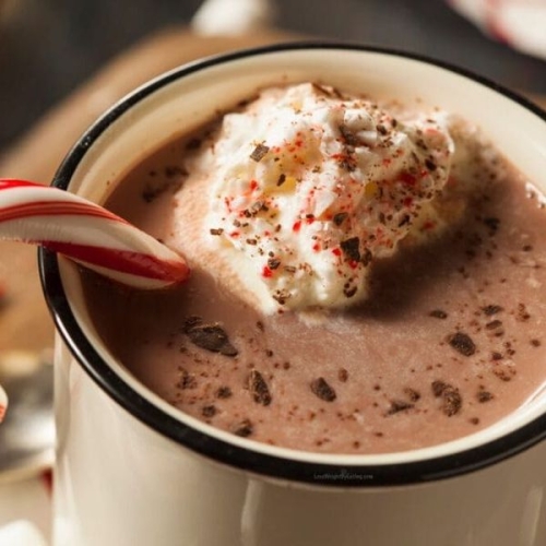 Low Calorie Peppermint Hot Chocolate
