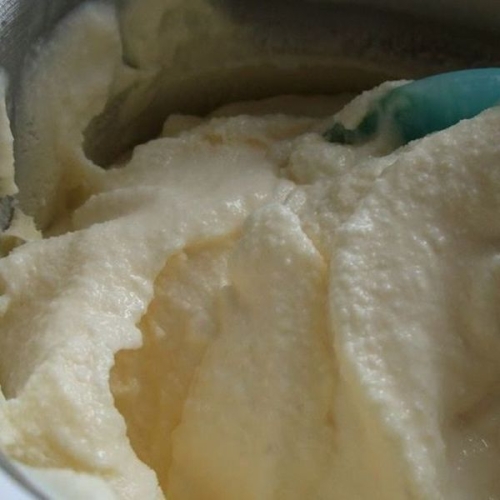 Low Calorie but Rich Vanilla Ice Cream