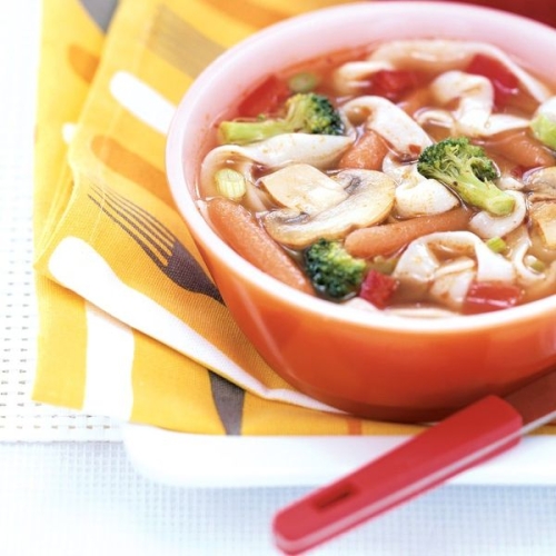 Broccoli-Shirataki Noodle Soup