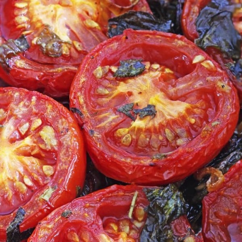 Piquant Roasted Roma Tomatoes